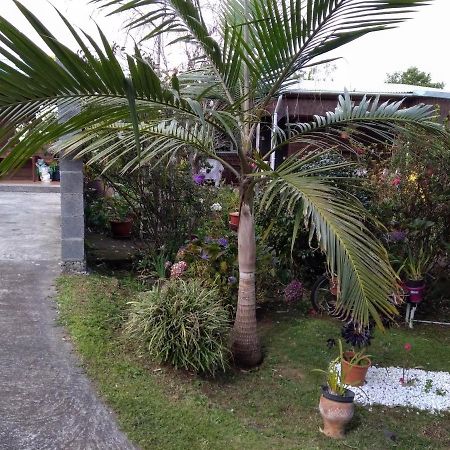 Au Fruit Delicieux Apartment La Plaine des Cafres Exterior photo